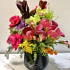 This exquisite category brings together the Finest Elements of Nature and Design