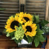 Nature amazes and sunflowers are proof. Was there ever a happier, brighter