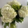 Celebrate Timeless Beauty with Hydrangeas
Always in season at Elizabeth&#039;s Garden, our &quot;Hydrangea