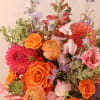 Bright and punchy pinks, coral and oranges with a hint of blues