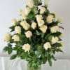 The symbol of purity and innocence, 