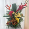 Tropical Sunrise

Bring the warmth and vibrance of the tropics into any space