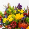 SAN FRANCISCO SUNSET VASE OF SUNFLOWERS, SPRAY ROSES &amp; FREESIAS

Bright, bold and