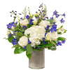 For the Mom that doesn&#039;t desire pink.... navy blue and white mixed