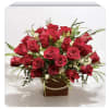 3Dozen roses
