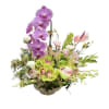 Anthurium. Phalaenopsis orchid. Roses. Cymbidium. Dendrobium. All of orchids 