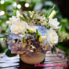 Harmony of Blue and white flowers 