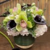 Classy Arrangement