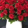 5 dozen amazing red Ecuadorian Roses in a ceramic container at medium