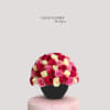 50 PREMIUM MIX RED &amp; HOT PINK ROSES 
BLACK CERAMIC VASE