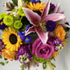 Seasonal bright flowers arranged with fillers and greens into a vase.

NOT CAT