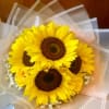 Sunshine Blossom Bouquet

Brighten someone&#039;s day with our Sunshine Blossom Bouquet, a cheerful