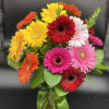 12 mix color large gerbera daisies arranged in a vase . 
Perfect