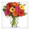This vibrant vase bursting with colorful gerbers is always a favorite!
Gerber color