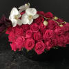 60 Red roses with one orchid stem and 10 romantic dark callas