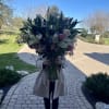 ***PEONIES BACK IN FEBRUARY .****
35 inch tall design filled with snap dragons