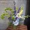 An eye-catching mix of Blue, Green, and white flowers in a vase.