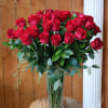 Vibrant red roses arranged with seeded eucalyptus in a tall glass vase.