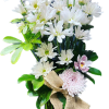 Daisies, cymbidium orchid blossom, mum blossom.