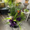 A lush and lovely garden, filled with individually potted plans, accented with