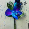 The vibrant blue orchid bloom looks amazing on your gentleman&#039;s coat lapel.
