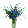 10 stems of shocking blue dendrobium orchids with fresh greenery.
