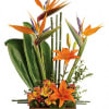 Looking for something with a bit of Zen? With tall bamboo and