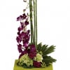 Purple dendrobium orchids, green carnations, dark pink Sweet William, an emerald palm