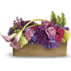 As lush and serene as a tropical sunset, this paradise of feminine