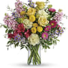 Spread goodness and light far and wide with this joyful gift of