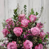 12 of the tallest pink roses mixed in a garden of greens