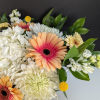 Brighten Your Day with Our Pop of Color Bouquet

Brighten someone&rsquo;s day with