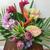 Make jaws drop with this display of bold and exotic Tropical Flowers.