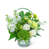 This arrangement is as soft and luxurious as its name! Cashmere Darling