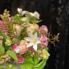 Wild Jasmine, Roses, Veronica, Sweet Peas, and Butterfly Ranunculus