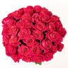 Our classic 100 hot pink roses are designed with long-stem 70 cm