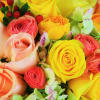 Mix Flowers in different variety and colors.
(If you like Tall or Short