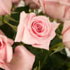 Our classic 4 dozen soft pink roses are designed with long-stem 70