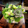 Cymbidium Orchid, Succulents, Hellebore in rustic Wood Container.