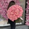 200 Pink Roses

Shade of pink may very 