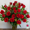1.5 Dozen Premium Extra Long Stem Red Roses 

Indulge in the timeless