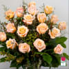 1.5 Dozen Premium Extra Long Stem Peach Roses 

Indulge in the timeless