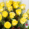 1.5 Dozen Premium Extra Long Stem Yellow Roses

Indulge in the timeless elegance