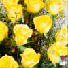 1.5 Dozen Premium Extra Long Stem Yellow Roses

Indulge in the timeless elegance