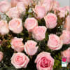 3 Dozen Premium Extra Long Stem Pink Roses

Indulge in the timeless elegance