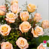 1 Dozen Premium Extra Long Stem Peach Roses 

Indulge in the timeless