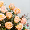 1 Dozen Premium Extra Long Stem Peach Roses 

Indulge in the timeless