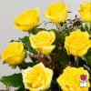 1 Dozen Premium Extra Long Stem Yellow Roses

Indulge in the timeless elegance