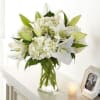 Adorable and fragrant breathtaking elegant piece