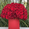 Chic box of 50 gorgeous red roses